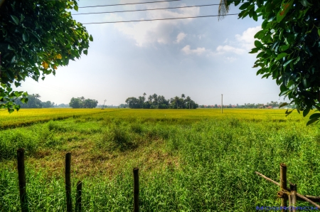 Alleppey Indien