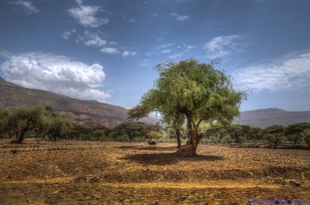 Tigray