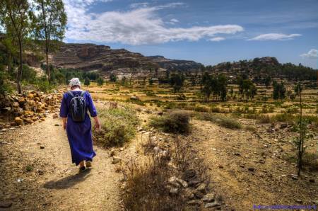 Tigray