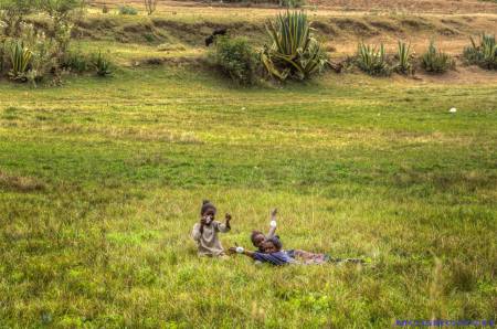 Tigray