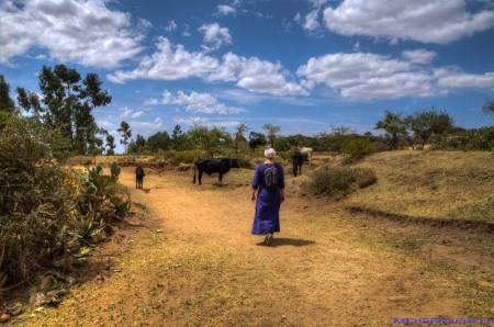 Tigray