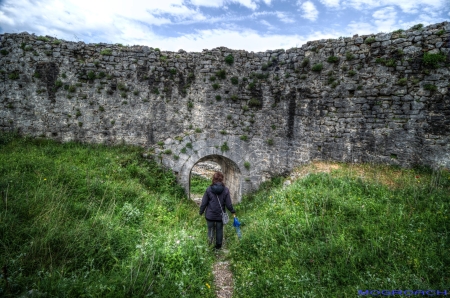 Shkodra