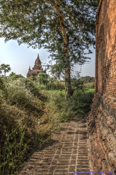 Bagan