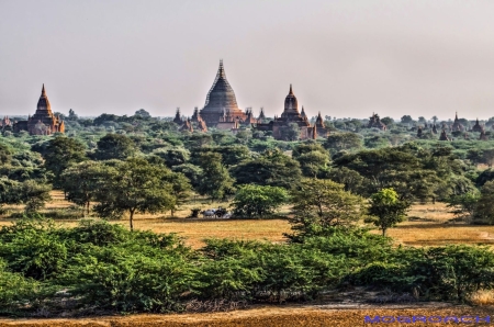 Bagan