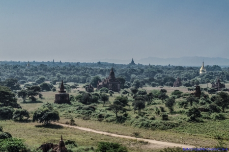 Bagan