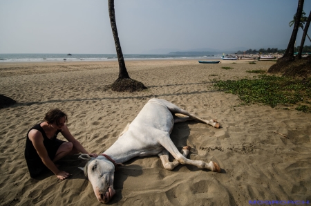 Agonda Beach