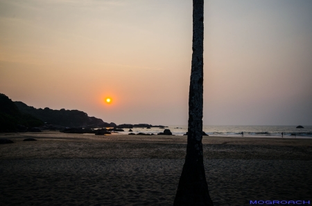 Agonda Beach