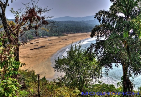 Agonda