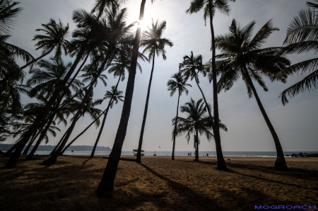 Cabo de Rama