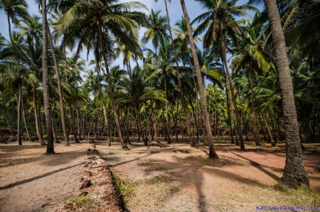 Cabo de Rama