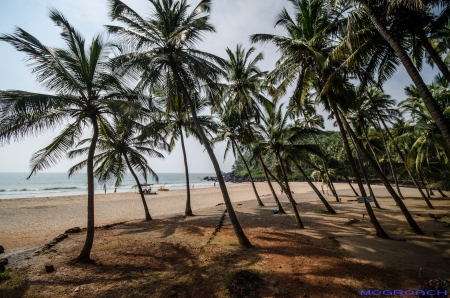 Cabo de Rama