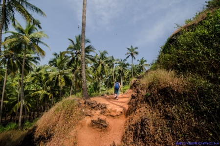 Cabo de Rama