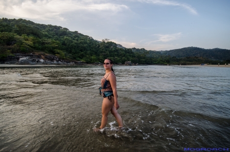 Palolem Beach Goa Indien