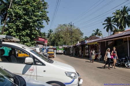 Palolem Beach Goa Indien