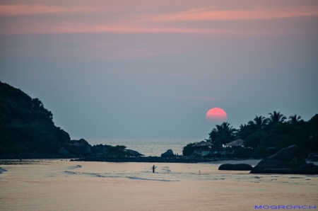 Palolem Beach Goa Indien