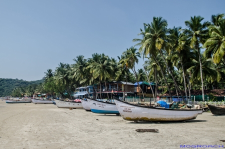 Palolem Beach Goa Indien