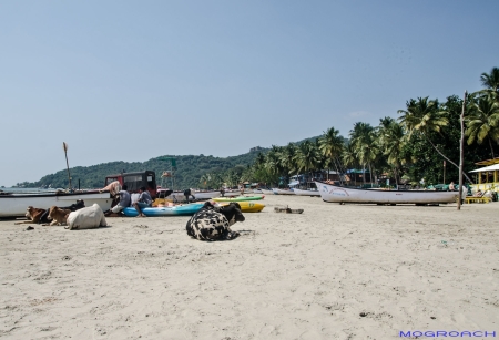 Palolem Beach Goa Indien