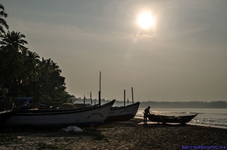 Palolem Beach Goa Indien