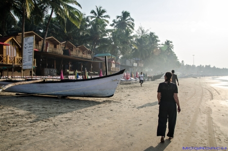 Palolem Beach Goa Indien