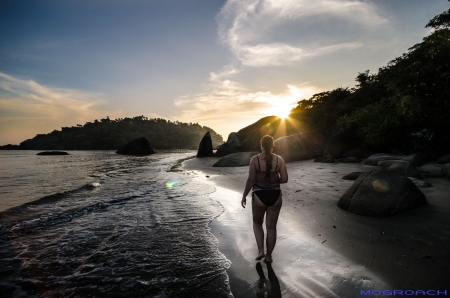 Palolem Beach Goa Indien