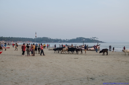 Palolem Beach Goa Indien