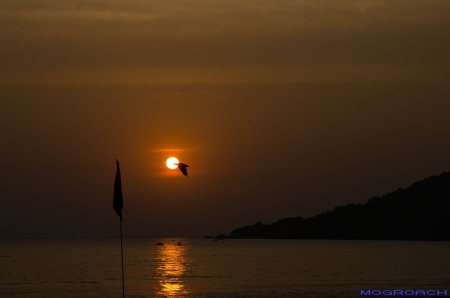 Palolem Beach Goa Indien