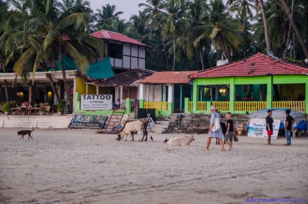 Palolem Beach Goa Indien