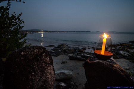 Palolem Beach Goa Indien