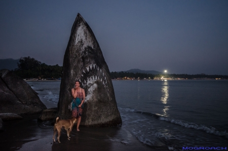 Palolem Beach Goa Indien