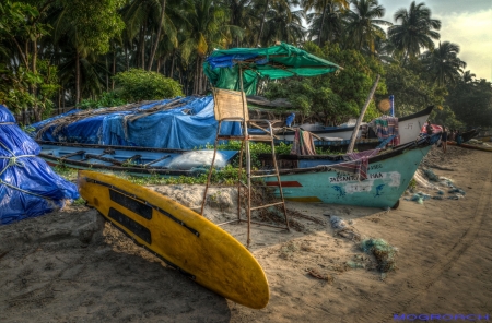 Palolem Beach Goa Indien