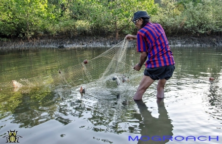 Palolem