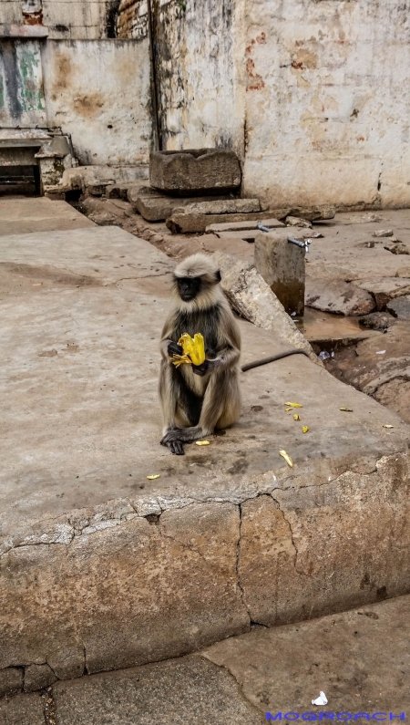 Indien, Hampi