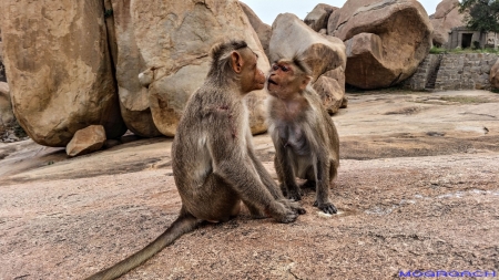 Indien, Hampi