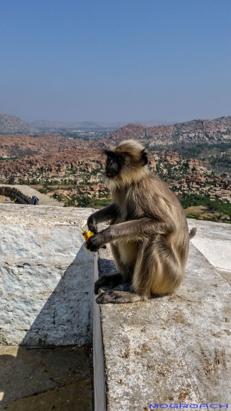 Hampi