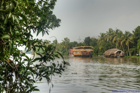 Alleppey Indien