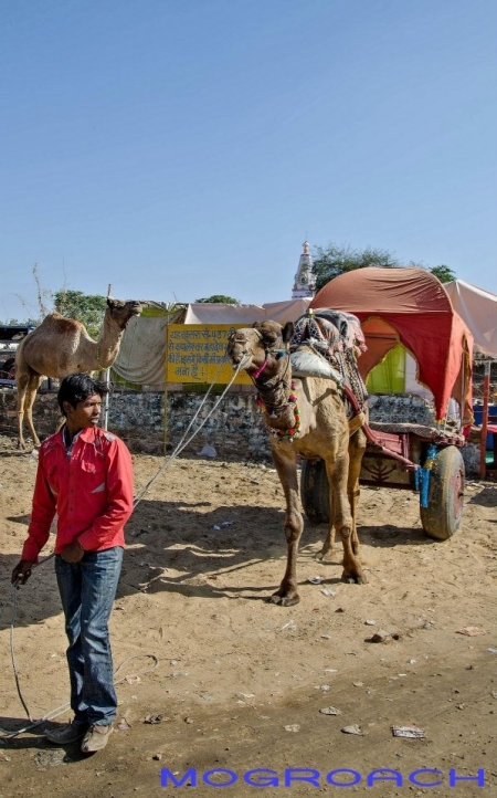 Rajasthan