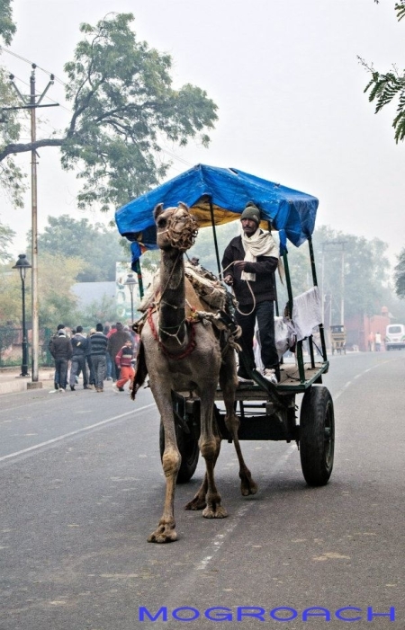 Uttar Pradesh