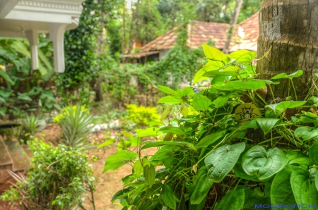 Varkala