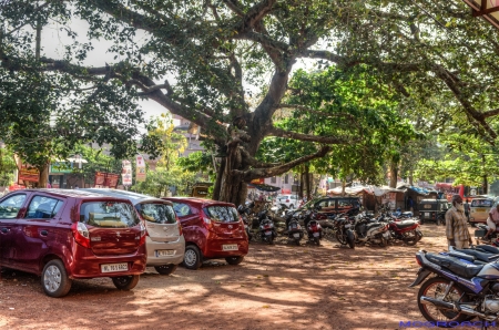 Varkala