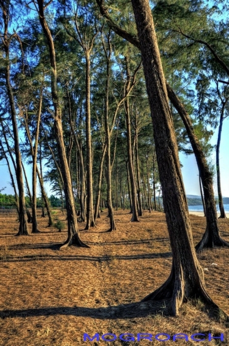 Galgibaga Beach