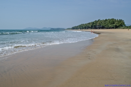 Galgibaga Beach