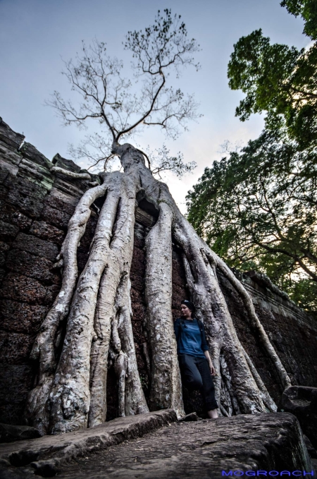 banteay kdei