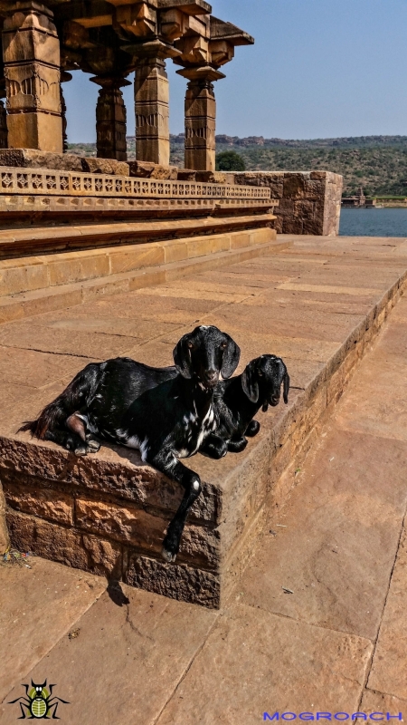 Badami