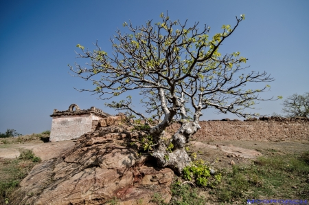 Badami