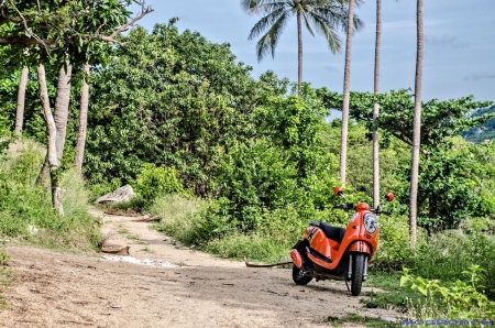 Koh Phangan