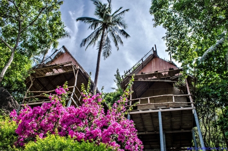 Koh Phangan