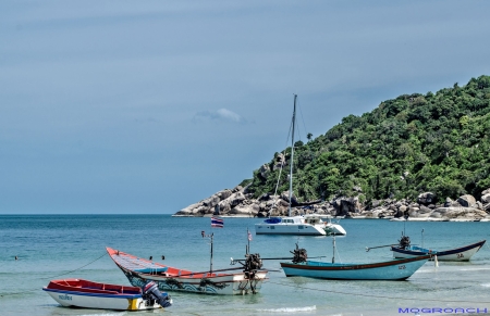 Koh Phangan