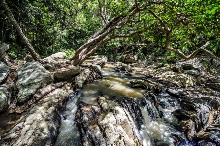 Koh Phangan