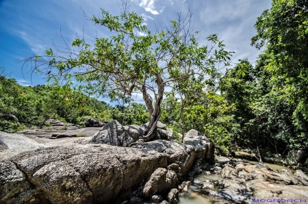 Koh Phangan