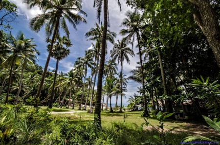 Koh Phangan